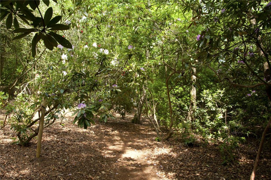 Woodland Walk