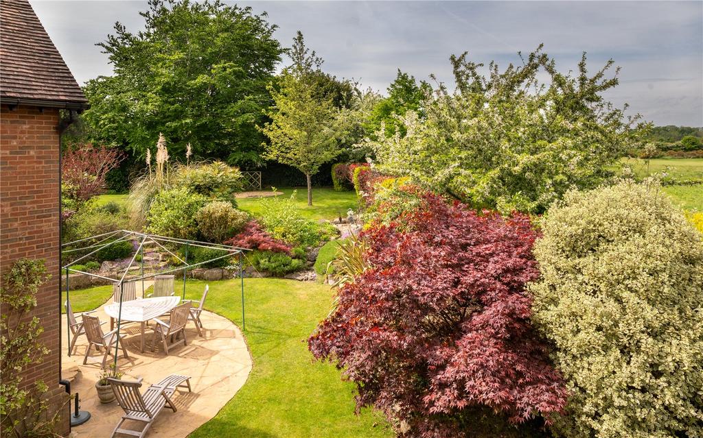 Patio / Rear Garden
