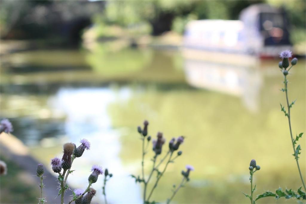 Canal