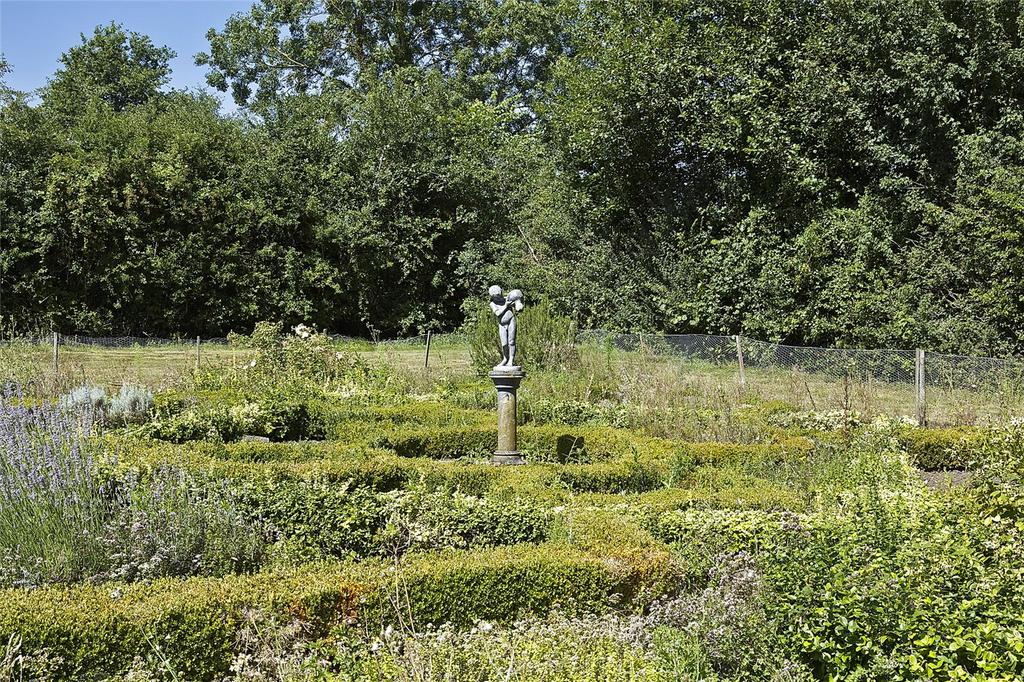 Box Hedging