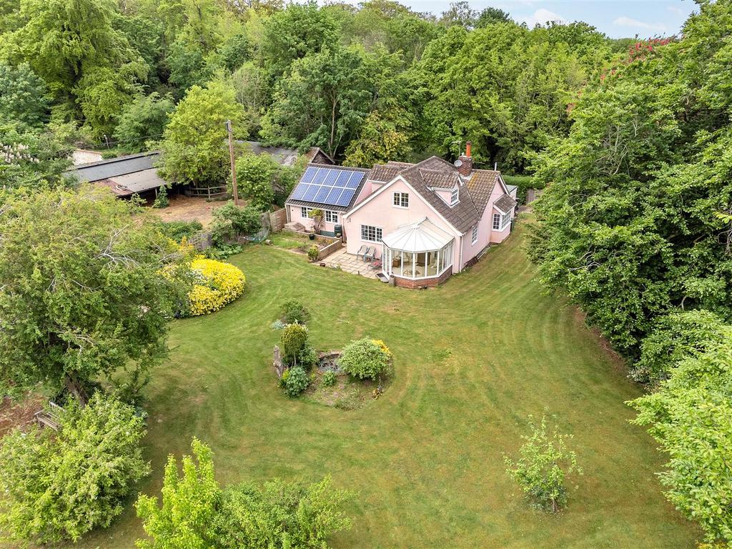 DJI 0055.jpg