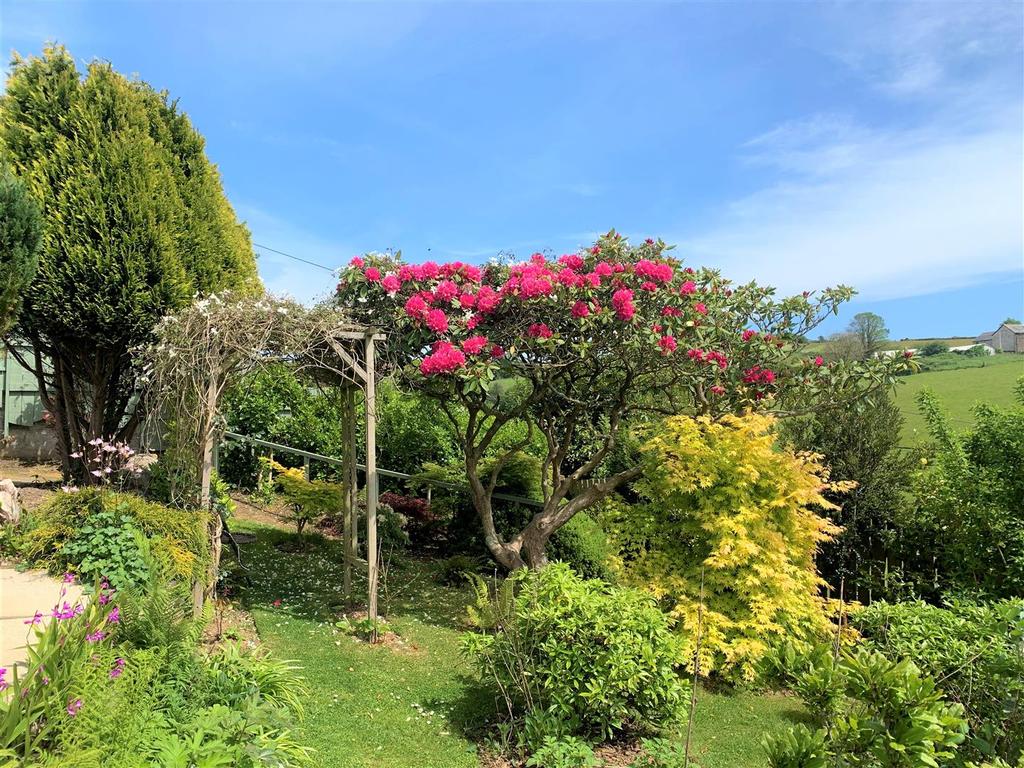 Garden 3.JPG