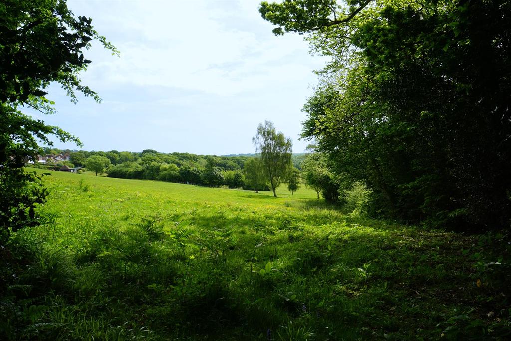 Peter James Lane, Fairlight Land £65,000