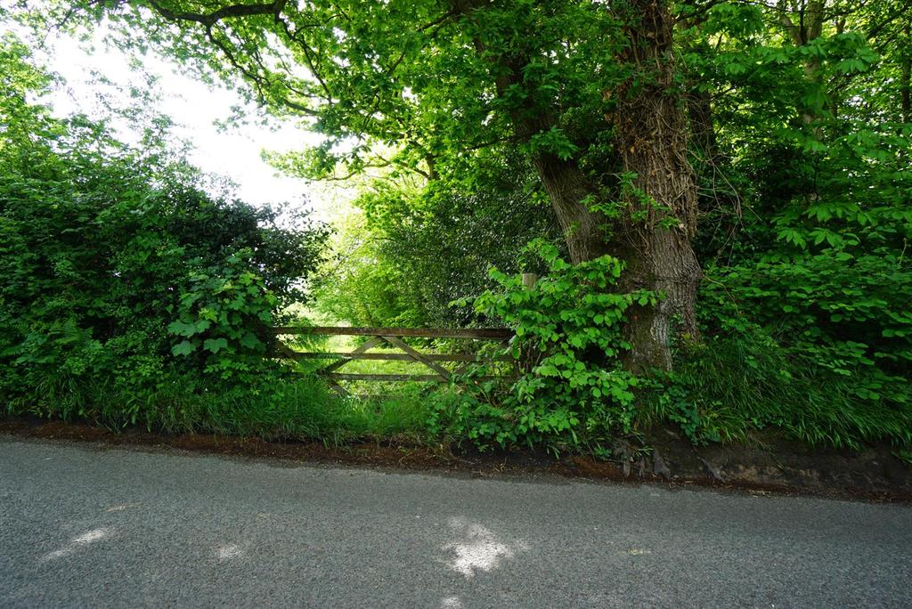 Peter James Lane, Fairlight Land £65,000