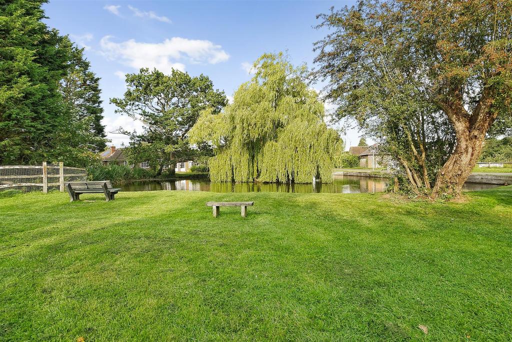 Village Pond