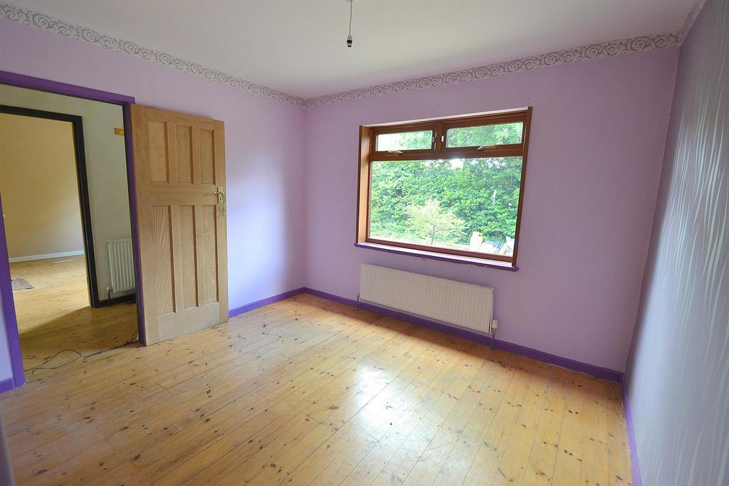 61 marshbed2.jpg