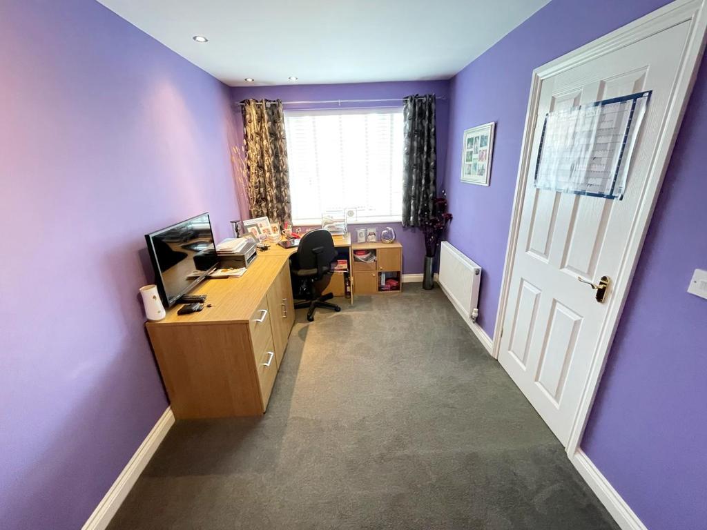 Study area