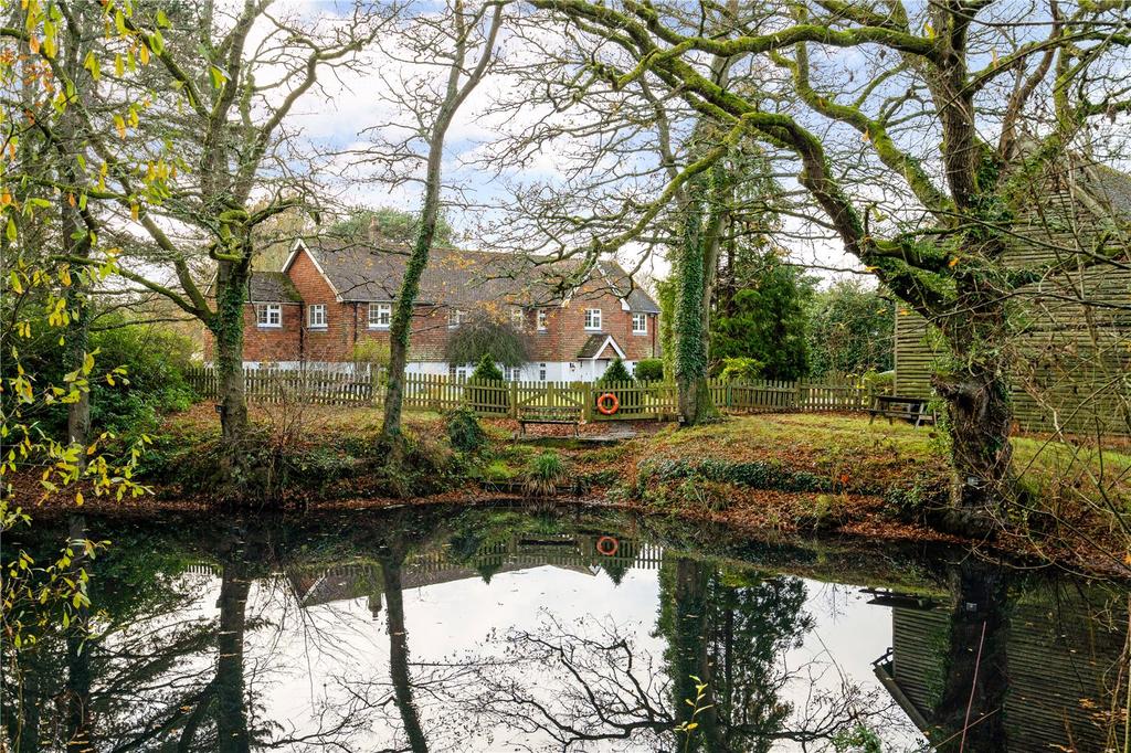 Pond