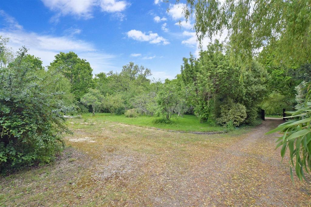 Driveway/Parking
