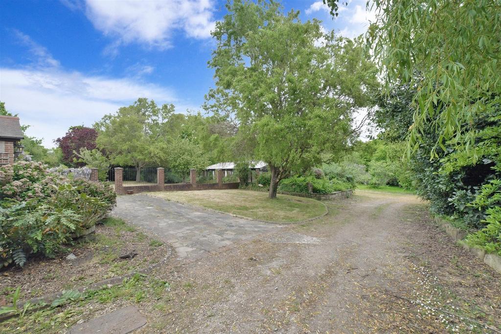 Driveway/Parking