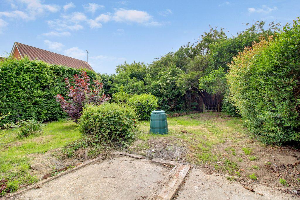 Garden at Back