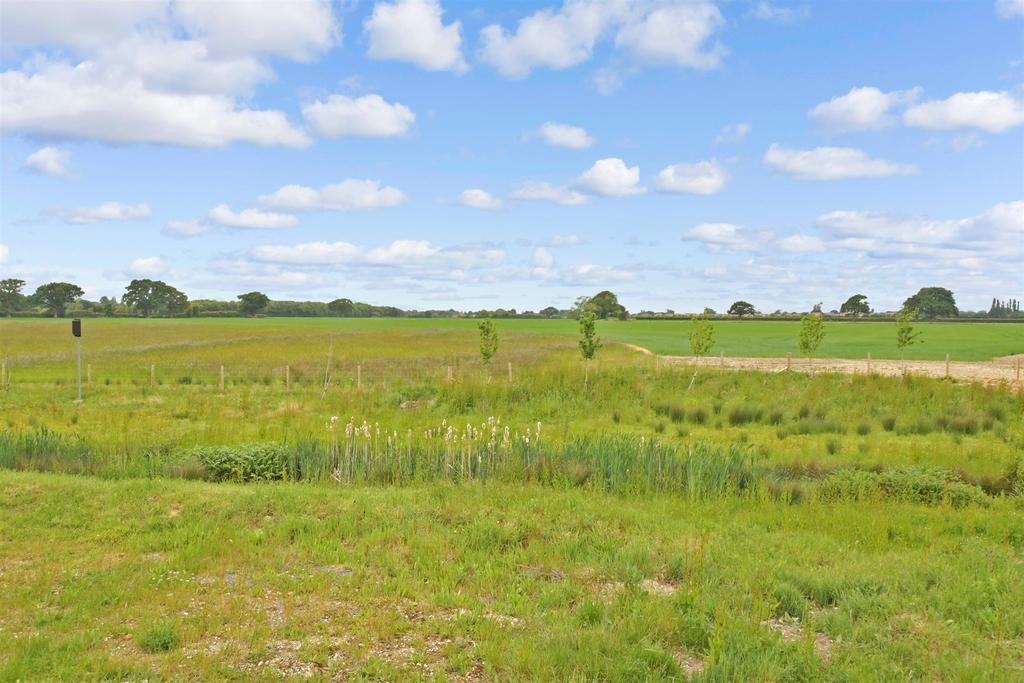 Surrounding Area