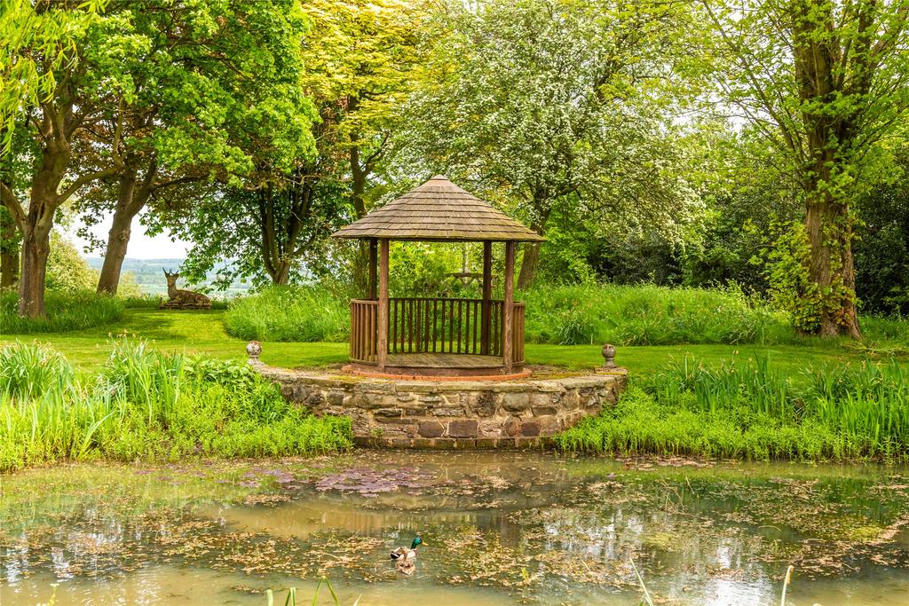 Pond