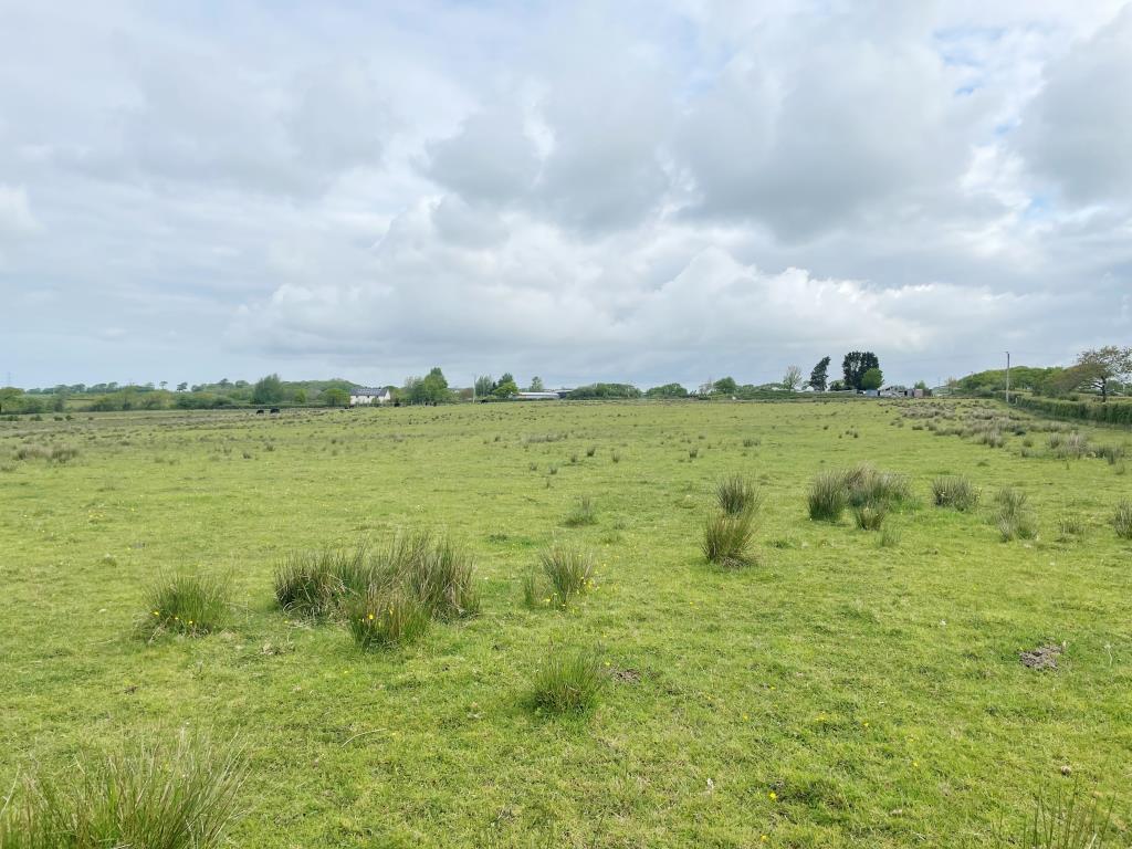 Land For Sale Pyworthy Devon at Kellie Schmidt blog
