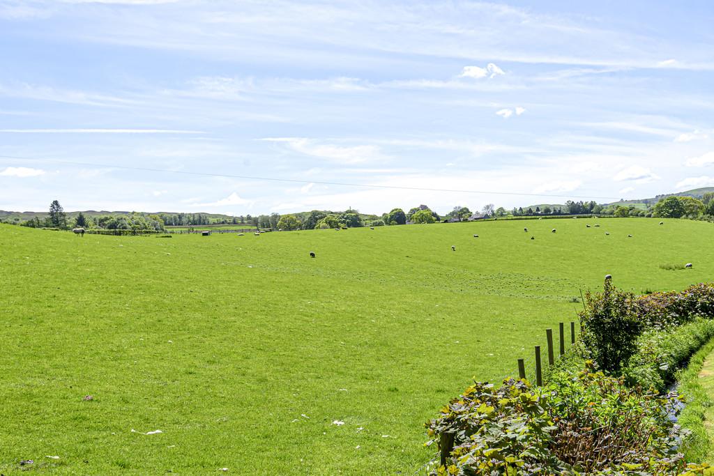 Aspect over open fields