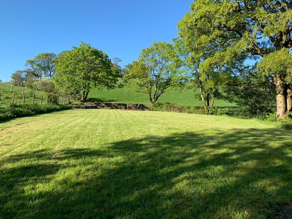 A delightful grassy area