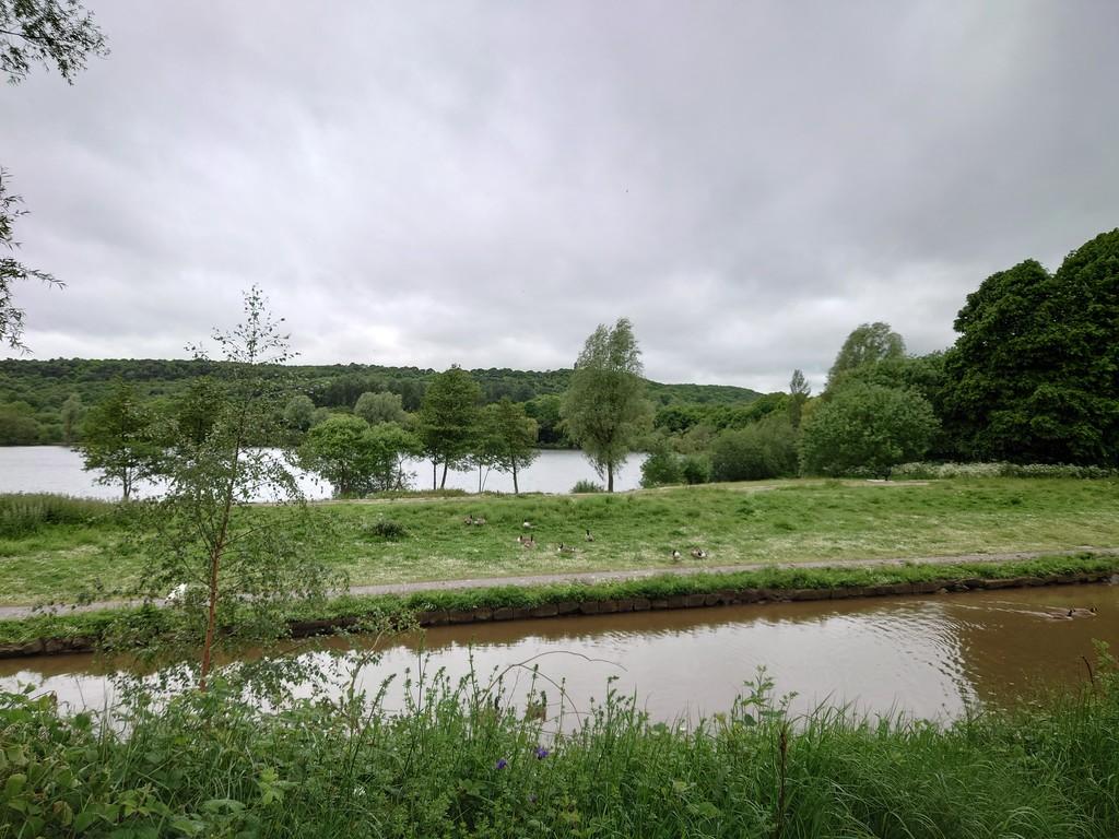Nearby Westport Lake