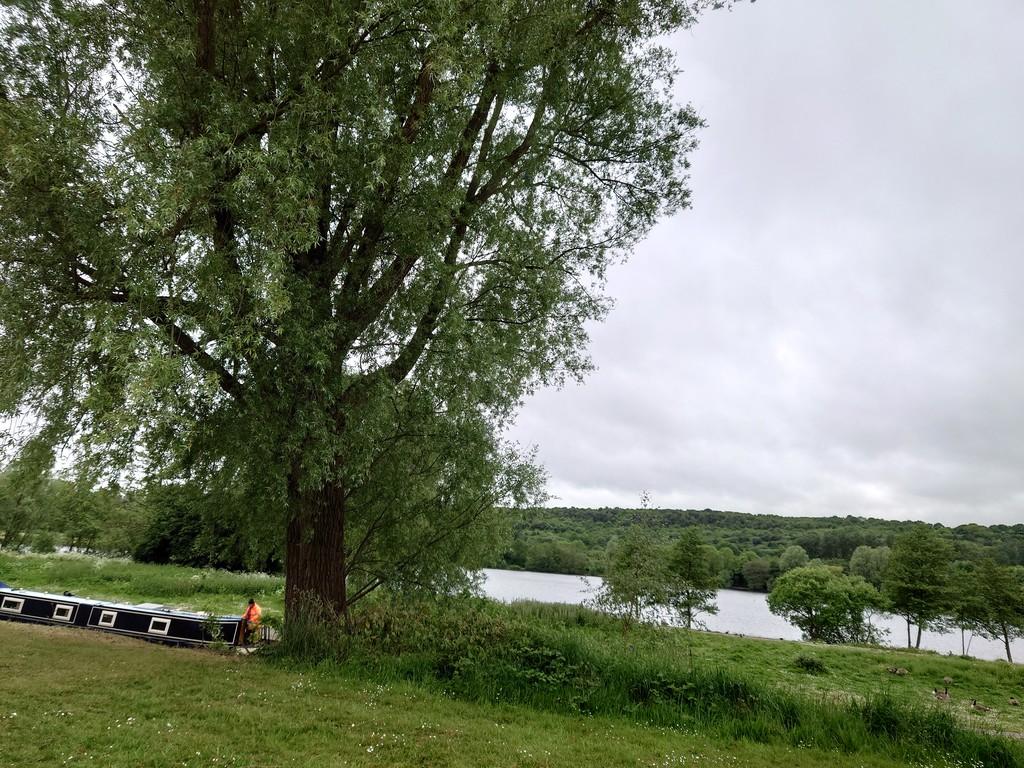 Nearby Westport Lake