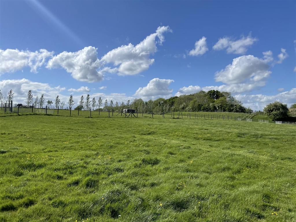 Front field towards site and bund.JPG