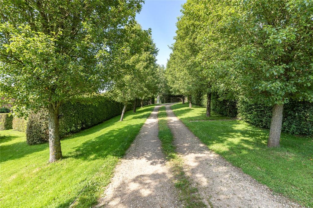 Driveway
