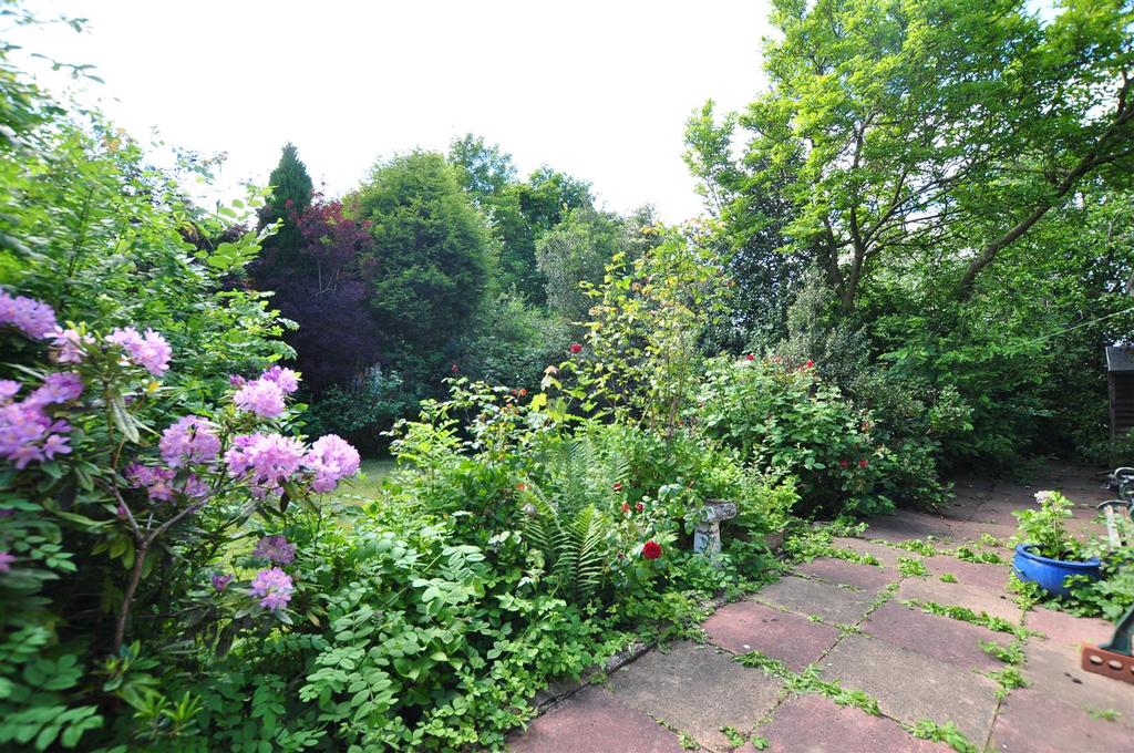 Dsc 0464.jpg