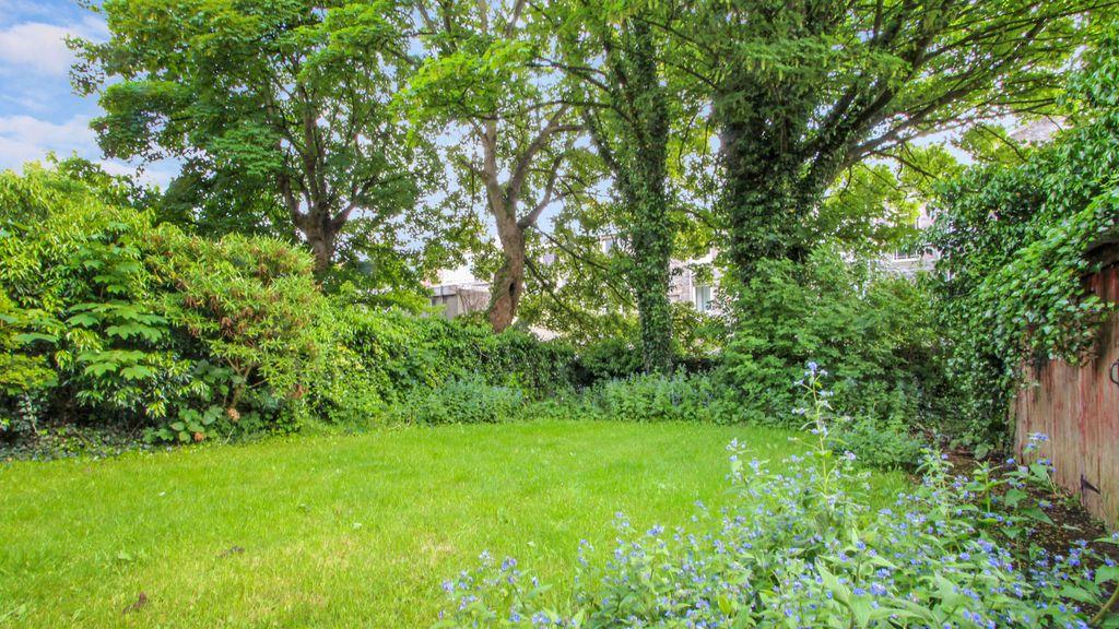 Garden at Back