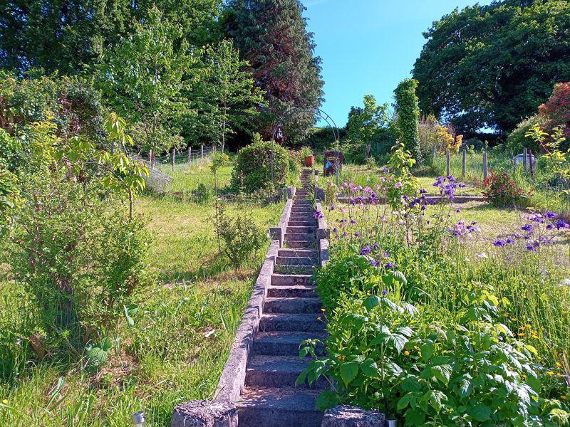 Large Rear Gardens