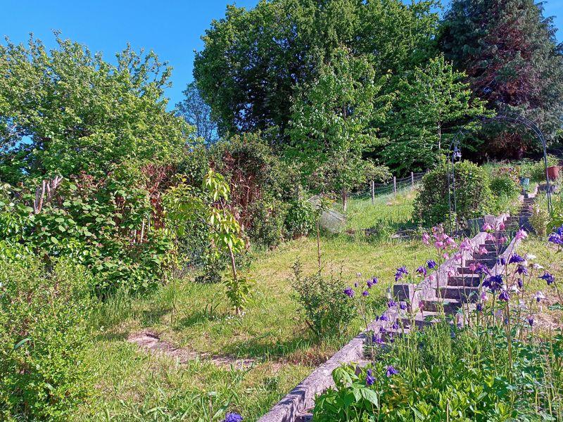 Rear Gardens
