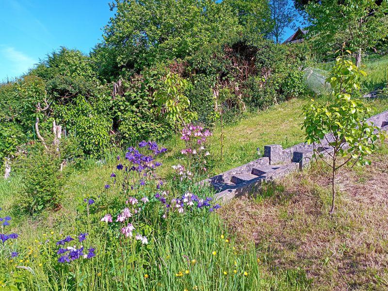 Rear Gardens