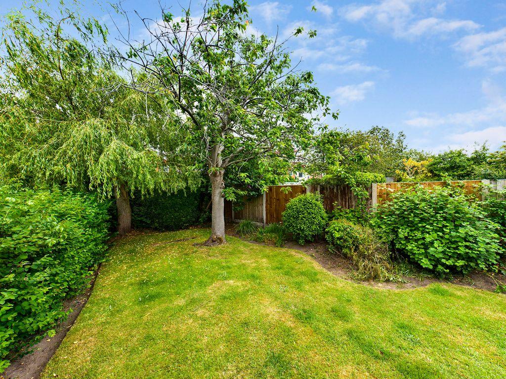 Garden at Back