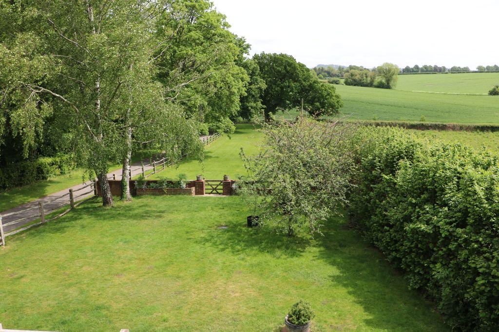 Garden at Back