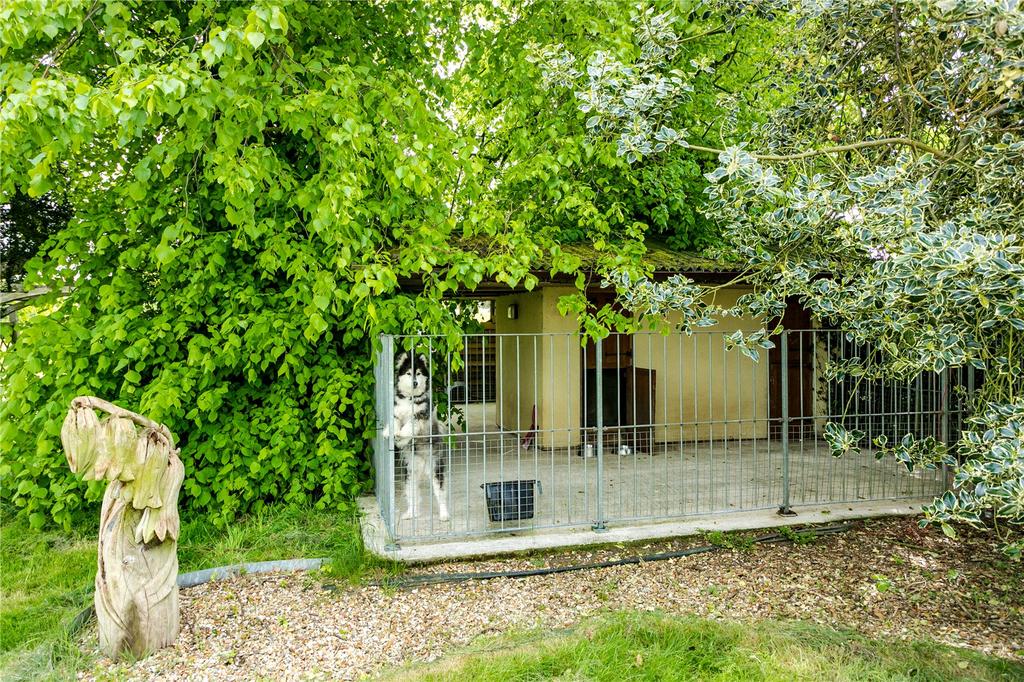 Kennel
