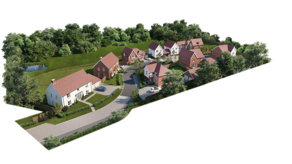 Site Layout