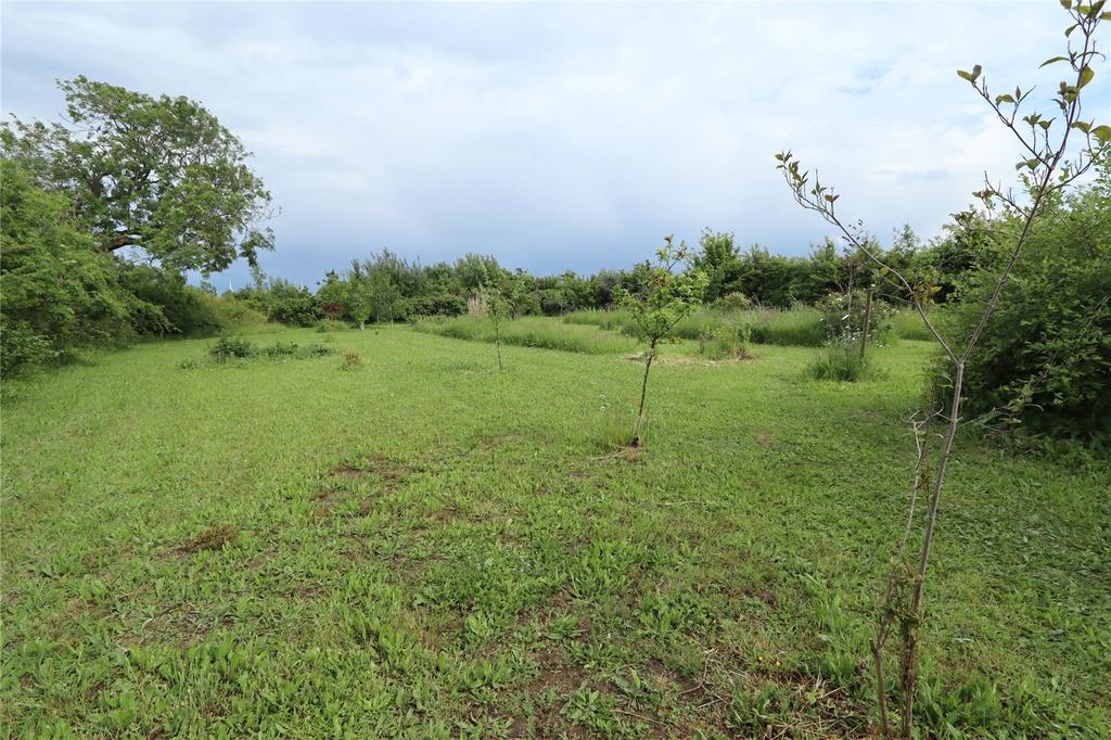 Picture No. 11