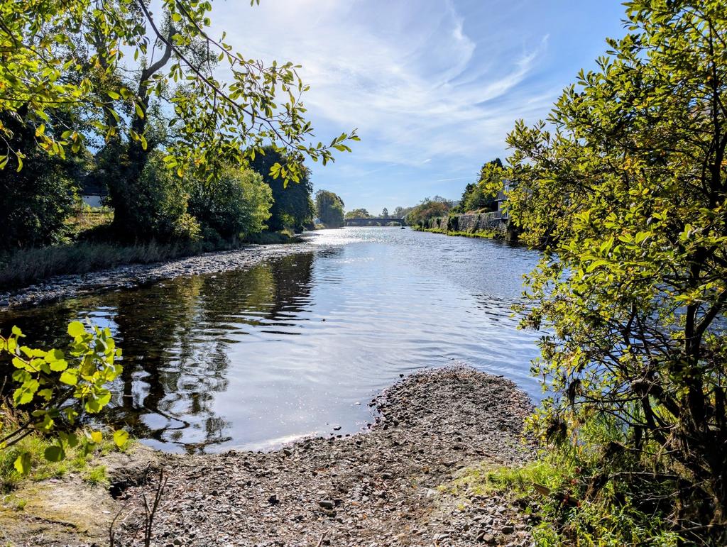 River Cree