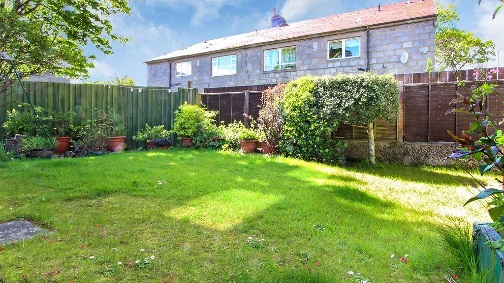 Garden at Back