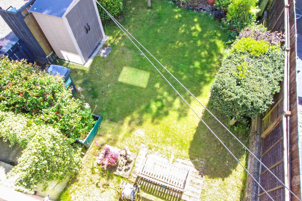 Garden at Back