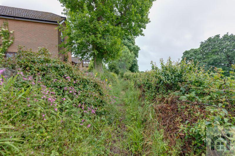 Wildlife corridor
