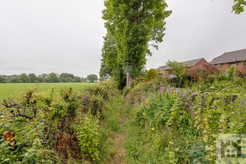 Wildlife corridor