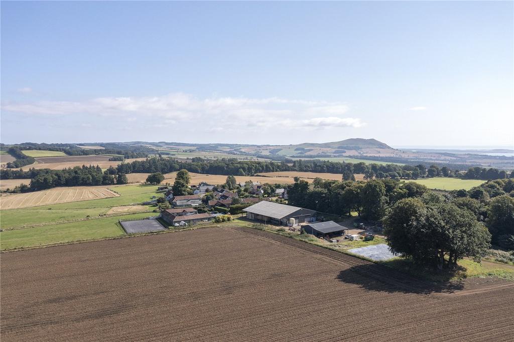 Steading