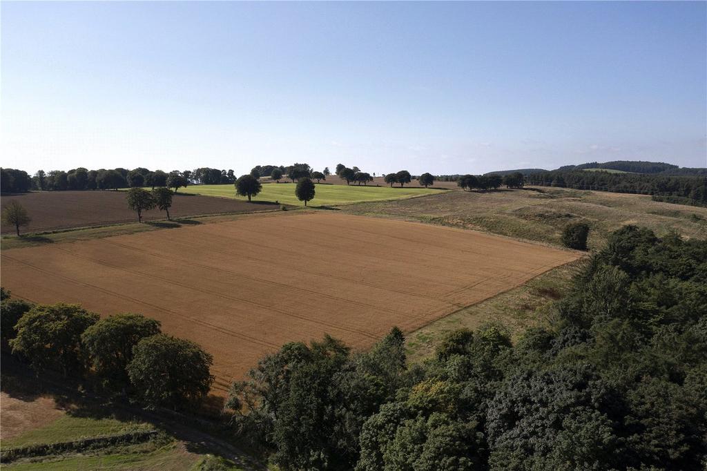 Land