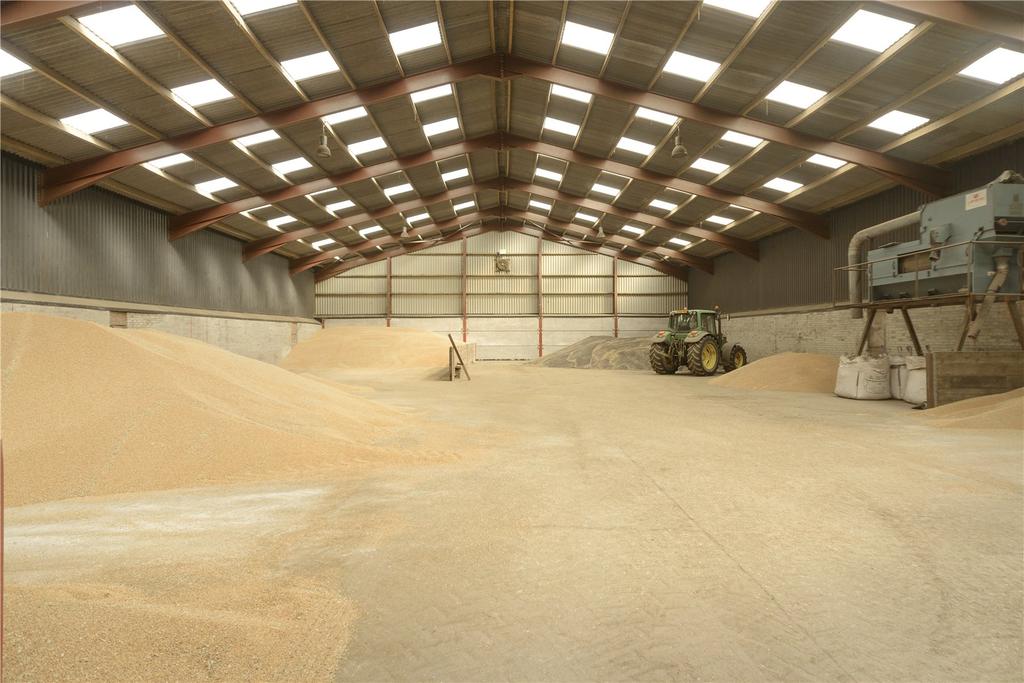 GP/Grainshed