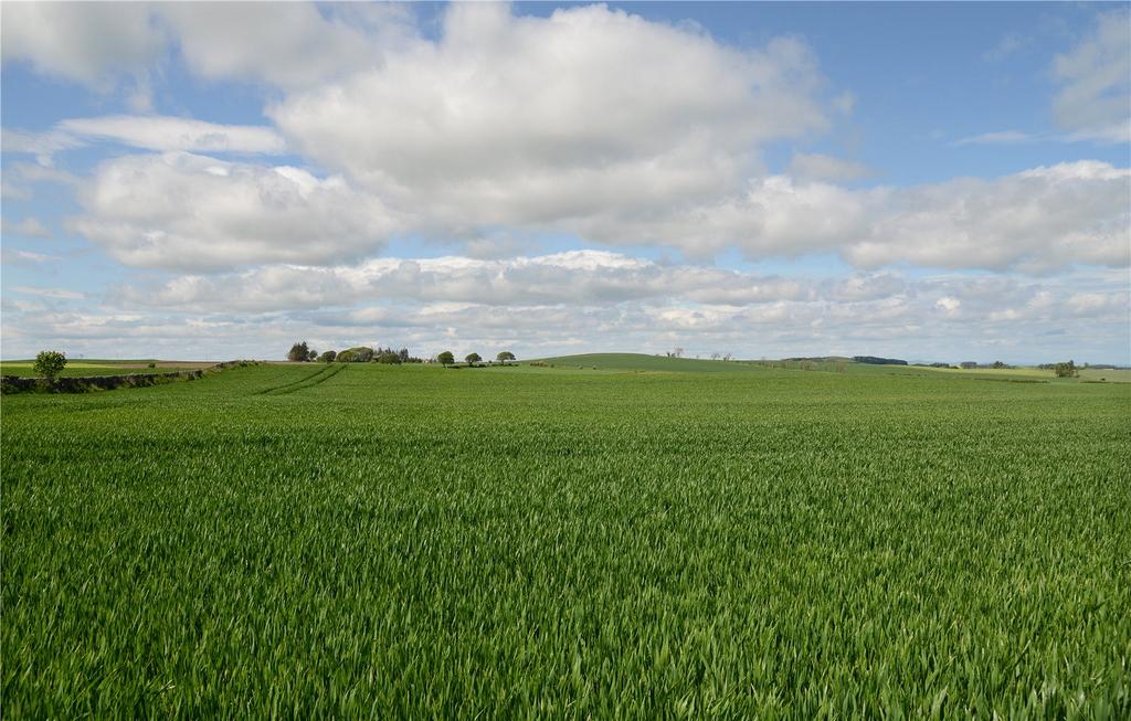Land