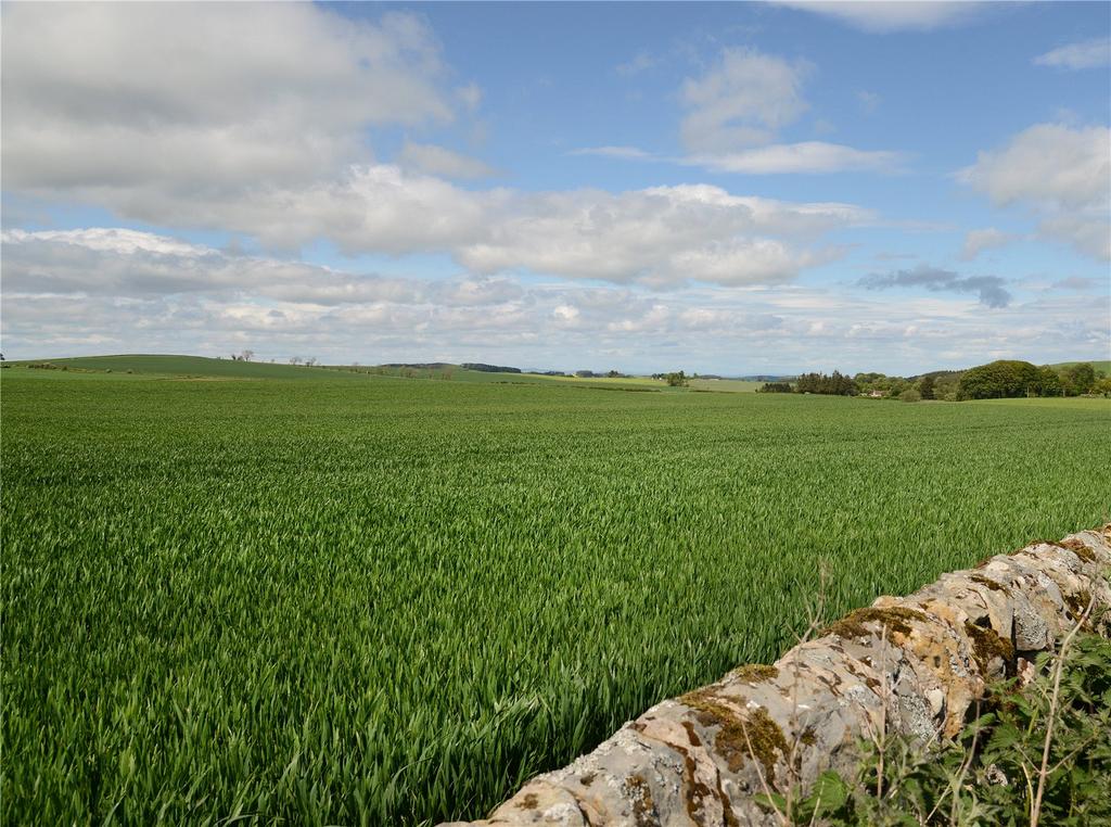 Land