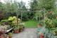 Mature rear garden