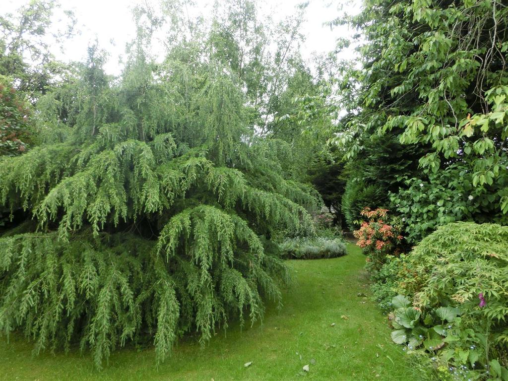 Ann Road 17 garden 2.jpg
