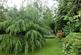 Ann Road 17 garden 2.jpg