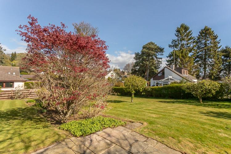 Rear Gardens
