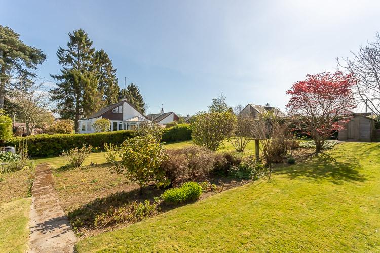 Rear Gardens
