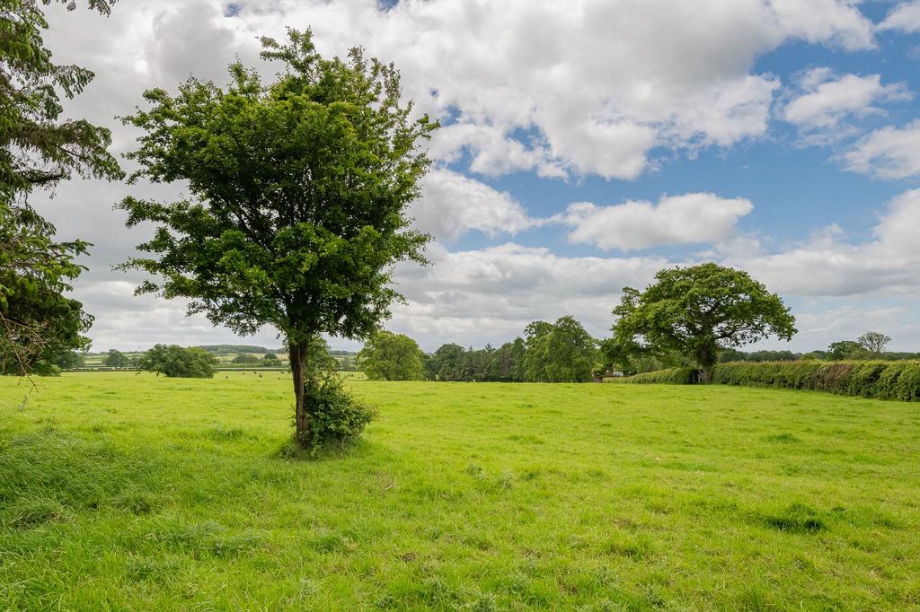 View, Fox Clease